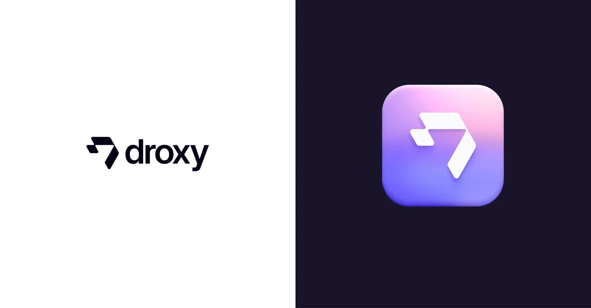 Droxy.ai project, visual 2