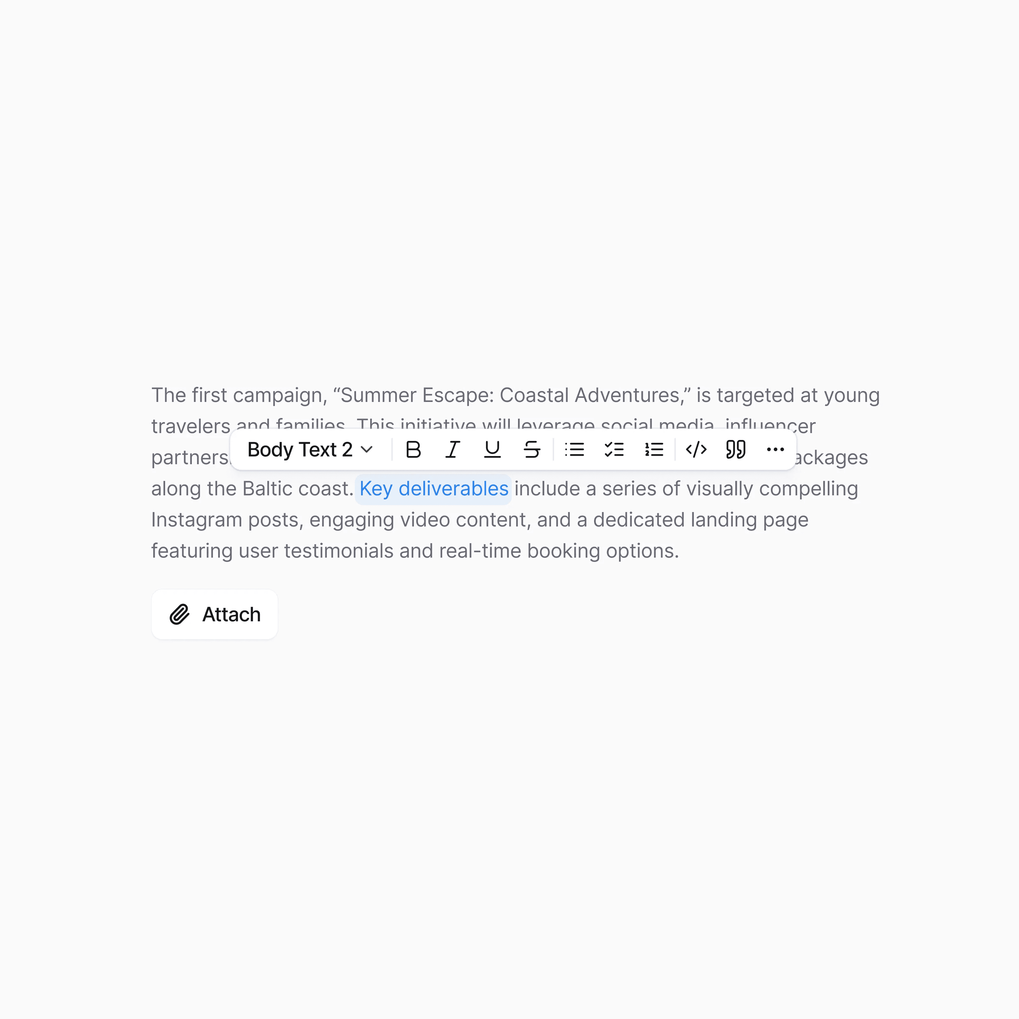 The rich text toolbar over a campaign brief in the editor