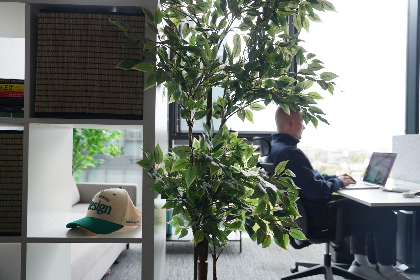 A designer working at a desk behind a ficus tree, a DesignMe cap on the shelf
